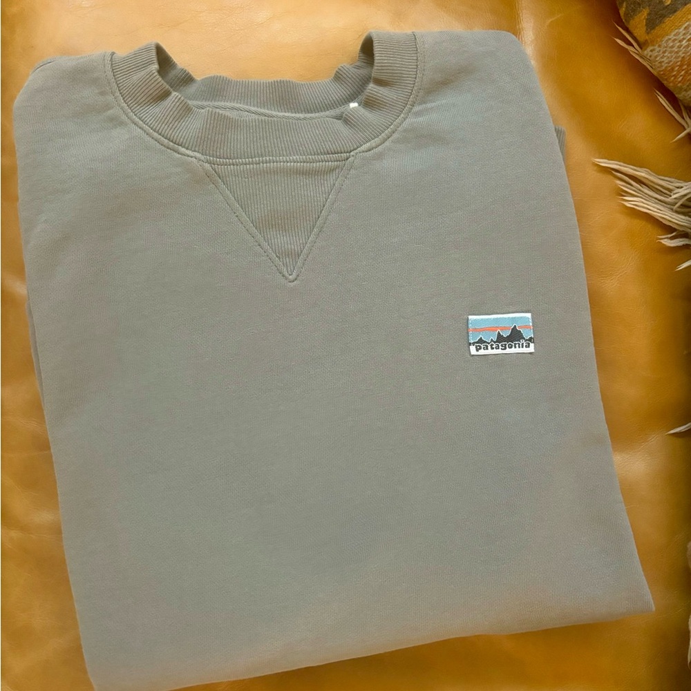 Patagonia Men's Beige Crewneck Sweater